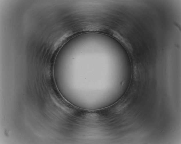 X0000103490203200809191930