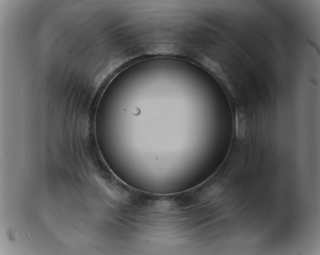 X0000103490204200809191930