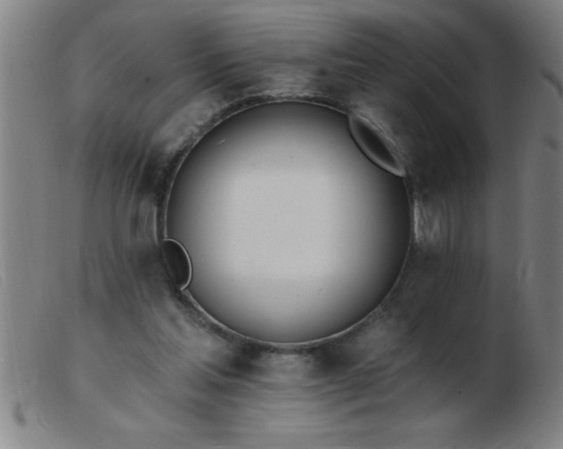 X0000103490205200809191930