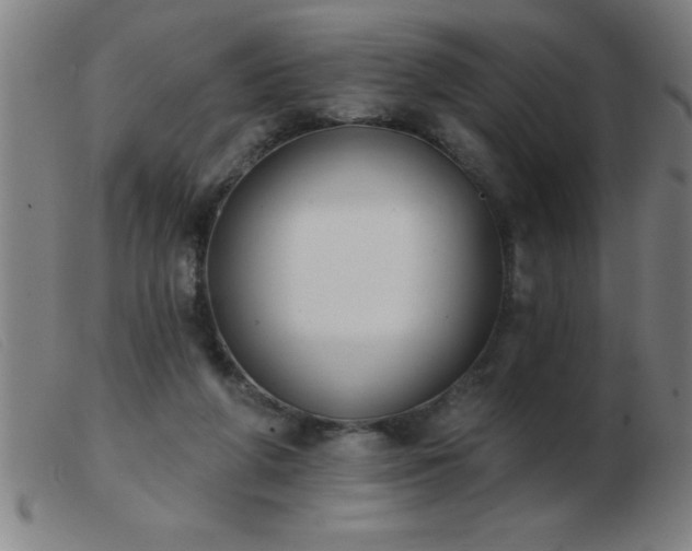 X0000103490210200809191930