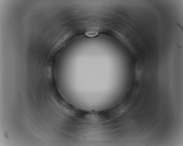 X0000103490211200809191930