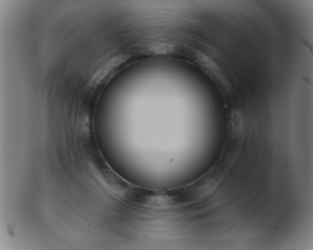 X0000103490212200809191930