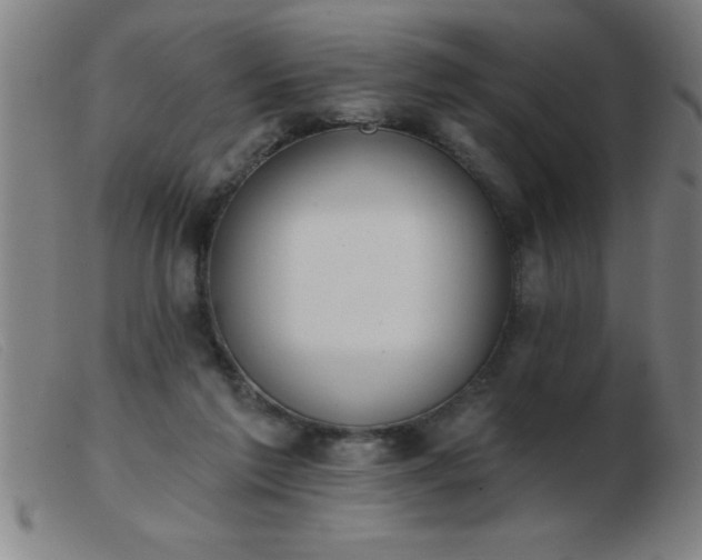 X0000103490213200809191930