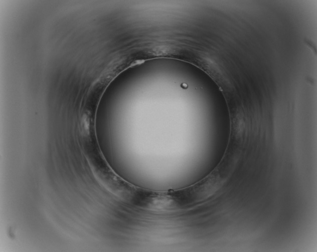 X0000103490214200809191930