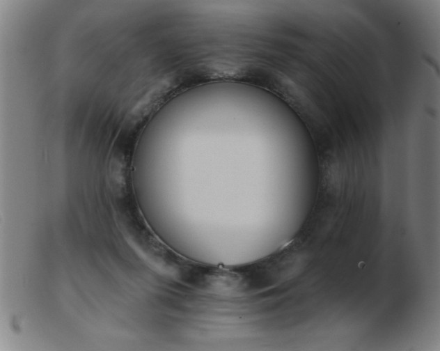 X0000103490215200809191930