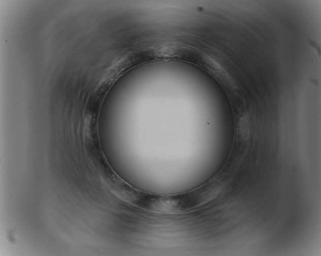 X0000103490217200809191930