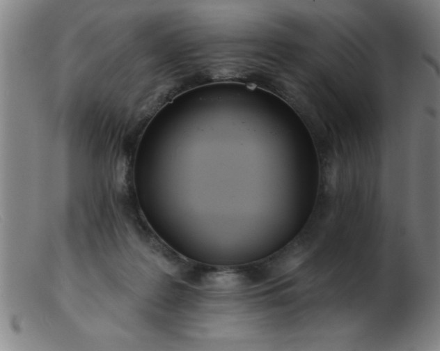 X0000103490219200809191930