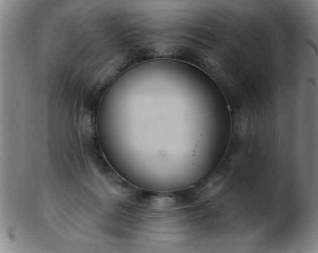 X0000103490220200809191930