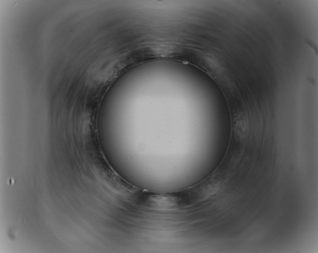 X0000103490221200809191930