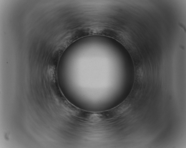 X0000103490222200809191930