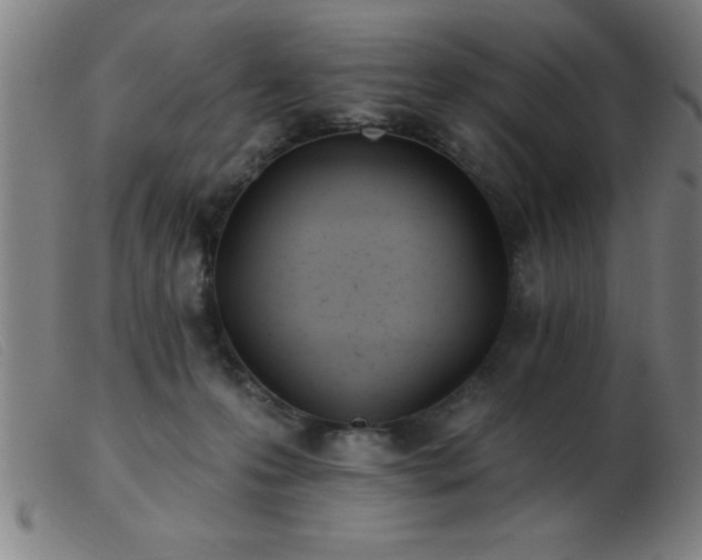 X0000103490223200809191930