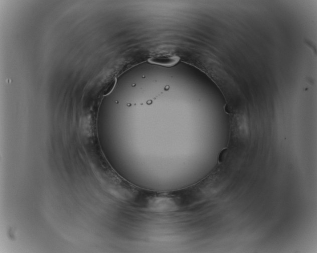 X0000103490224200809191930