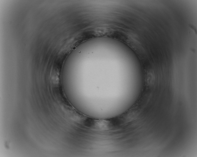 X0000103490226200809191930