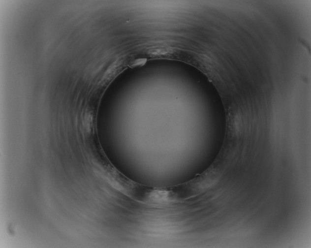 X0000103490227200809191930