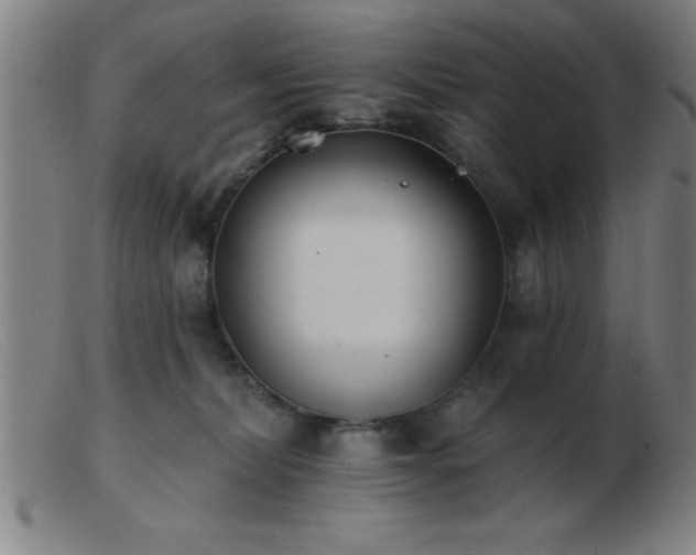 X0000103490228200809191930