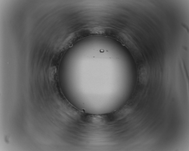 X0000103490229200809191930