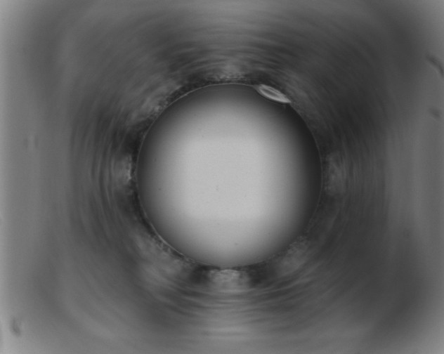 X0000103490230200809191930