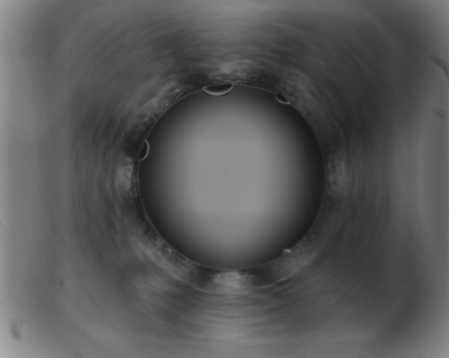 X0000103490231200809191930