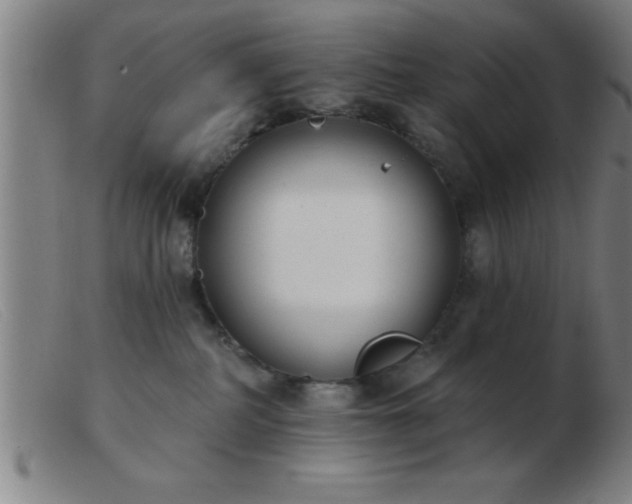 X0000103490234200809191930