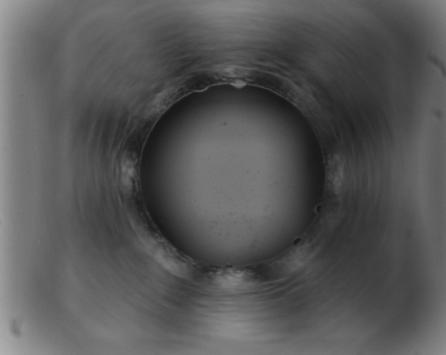 X0000103490235200809191930