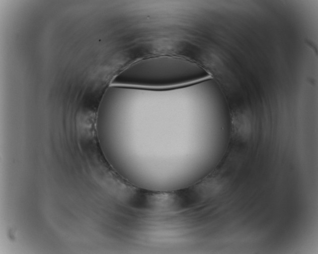 X0000103490237200809191930