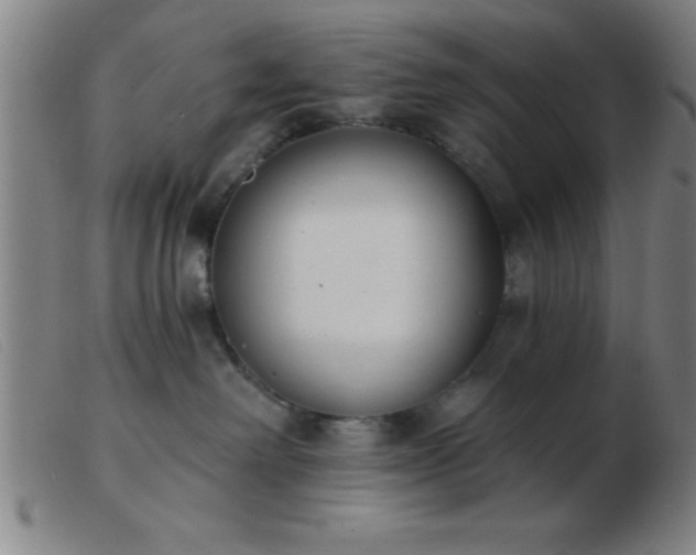 X0000103490238200809191929