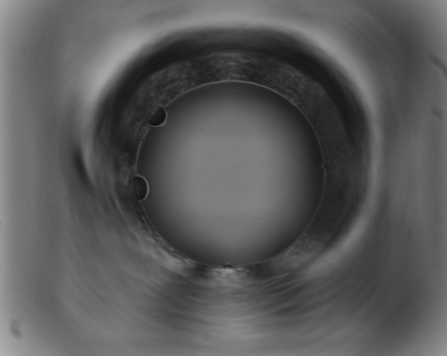 X0000103490239200809191929