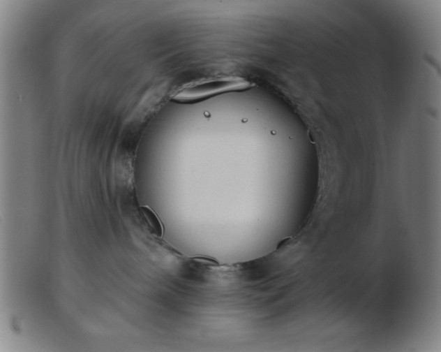 X0000103490240200809191929