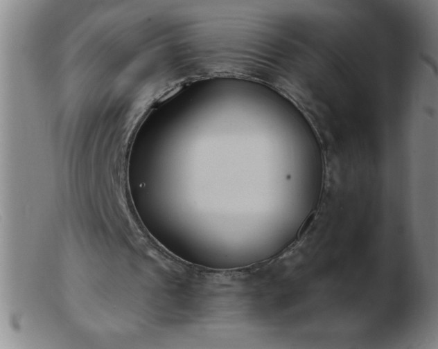 X0000103490241200809191929