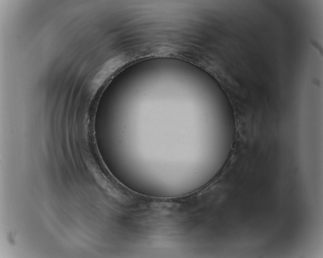 X0000103490242200809191929