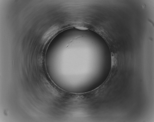 X0000103490243200809191929