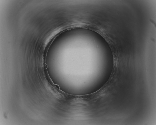 X0000103490244200809191929