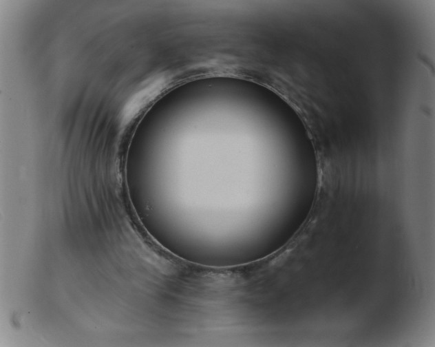 X0000103490245200809191929