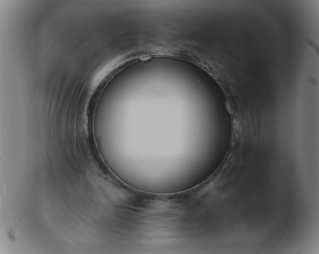 X0000103490246200809191929