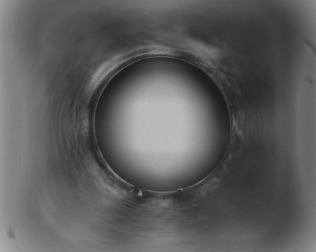 X0000103490247200809191929