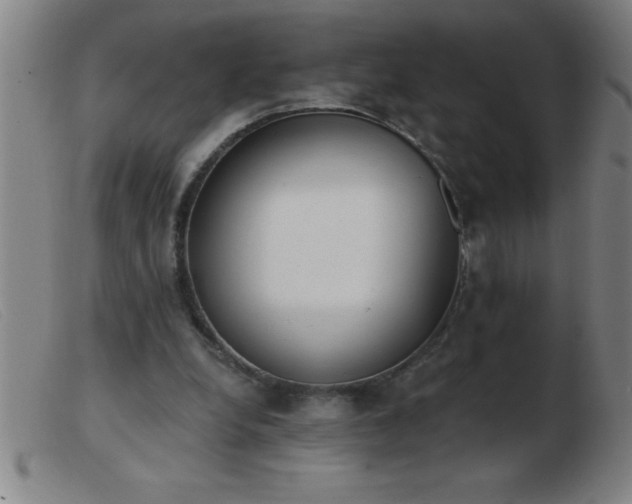 X0000103490248200809191929