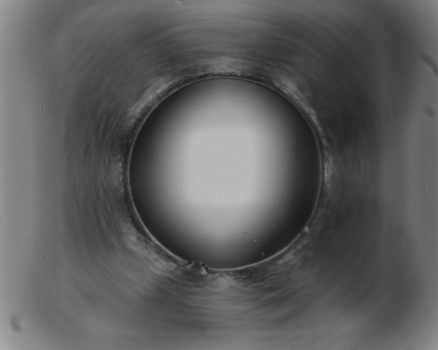 X0000103490249200809191929