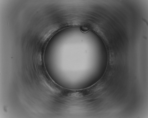 X0000103490251200809191929