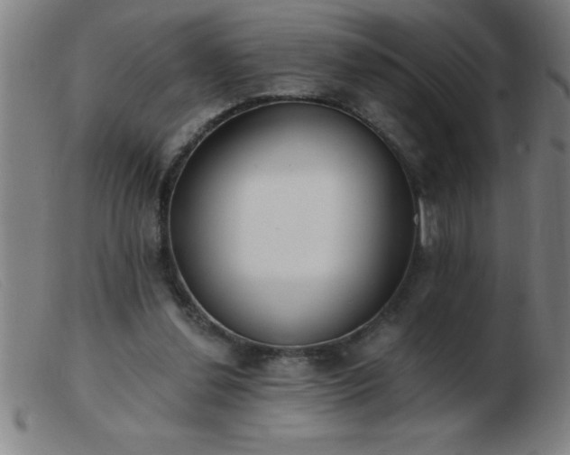 X0000103490252200809191929