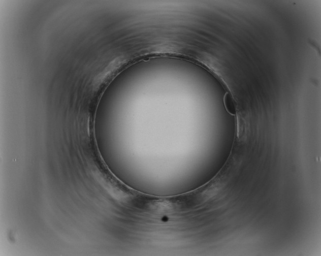 X0000103490253200809191929