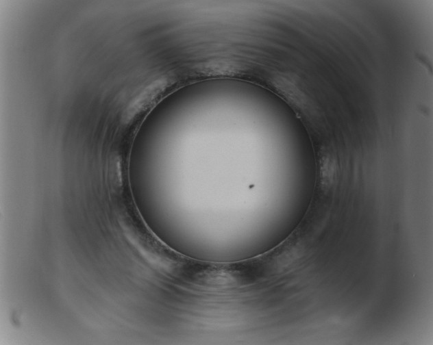 X0000103490254200809191929