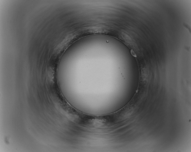 X0000103490255200809191929