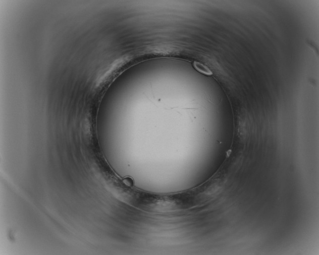 X0000103490256200809191929