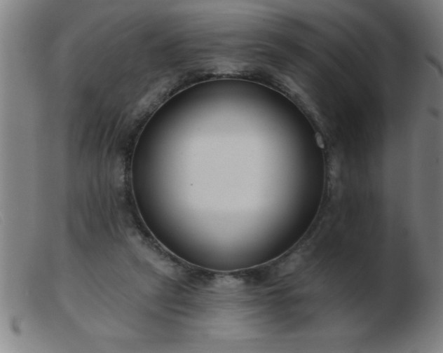 X0000103490257200809191929