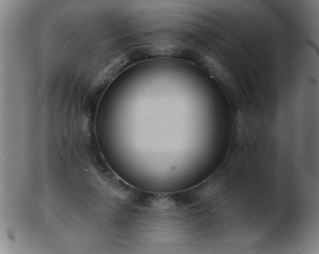 X0000103490258200809191929