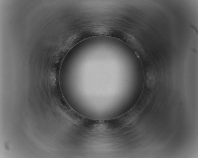 X0000103490259200809191929