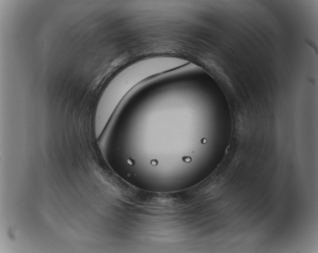 X0000103490260200809191929