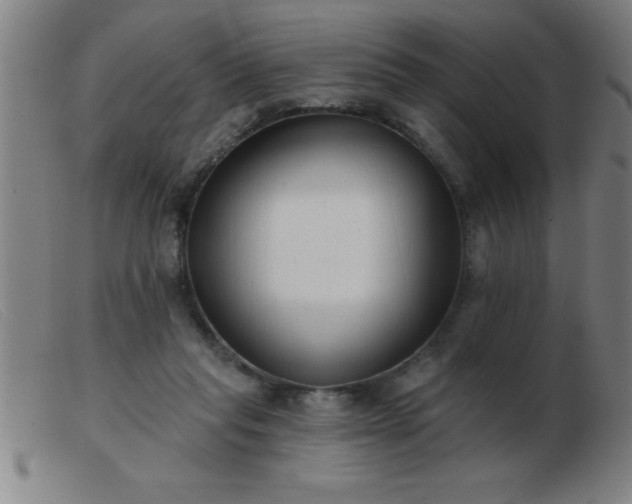 X0000103490261200809191929