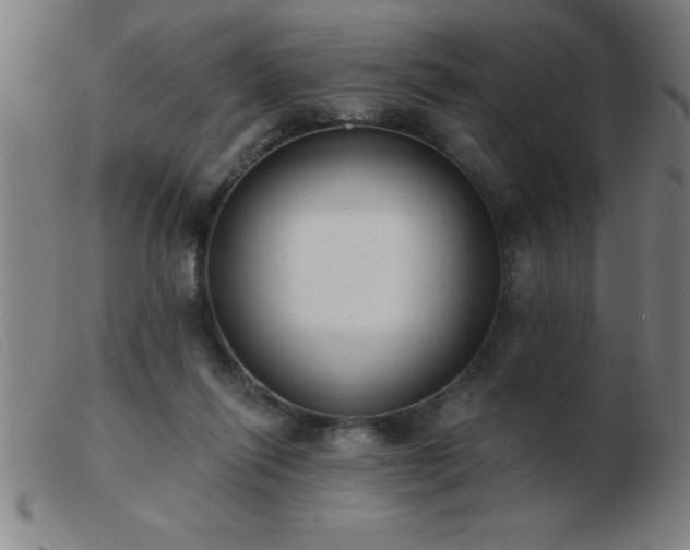 X0000103490262200809191929