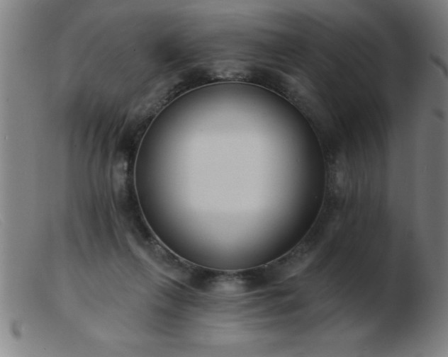 X0000103490263200809191929